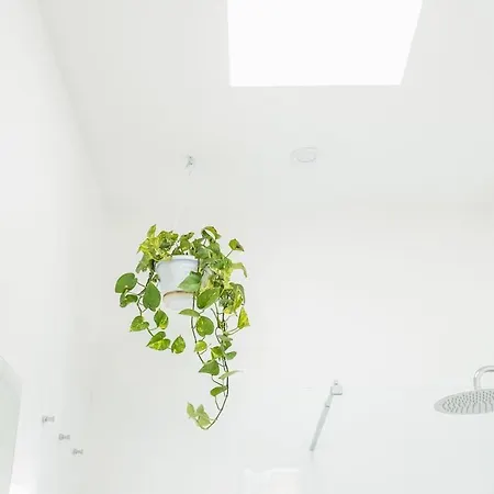 Loft Miyabi - Urban Retreat With Private Parking